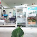 반석미트