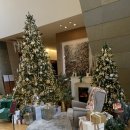 건대애플약국 이미지