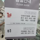 다이소부천오정동점 네이버블로그