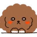 효정패밀리아카페 이미지