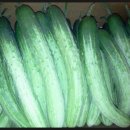 신기리농장 이미지