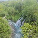 팜소프트 | 6월 삿포로 비에이투어 후기 | 청의 호수·팜 도미타·흰 수염 폭포 코스 총정리