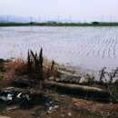 우진부동산중개사무소 이미지