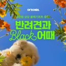 여기
