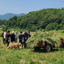 자유농장 이미지