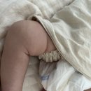 [육아용품] 잠투정 등센서 모로반사 아기, 머미쿨쿨 사용후기