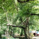 블루라군 이미지