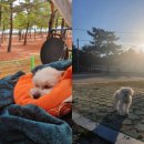 지경국민여가캠핑장 티스토리