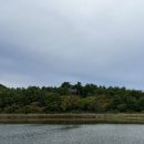 고성소머리국밥 이미지