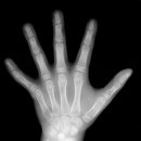 봉선초등학교 이미지