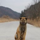 라온하우스 이미지