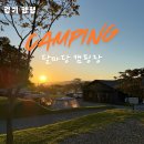 핑 당구장 | 양평 달마당 캠핑장 l 두집 데크 가족캠핑장 후기