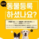 경기동물메디컬센터 이미지