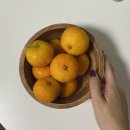 NR-7[산업로]-하-625 | 어쩌다 울산 식신로드 기록.., 내 먹짱인생은 주먹떡갈비를 알기 전후로 나뉜다, 유니클로 스웨트...