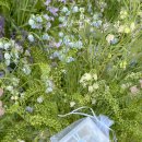 밀드플레 이미지