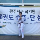 미산태권도 이미지