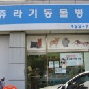 쥬라기동물병원 이미지