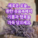 😆😊😚🤪🤐🤢＜＜ 송학 스마팅 ＞＞ 지랄도 풍년 ?????? 이미지