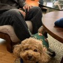 시즌즈(seasons) 이미지