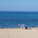 동해바다 이미지