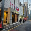 호텔 그라모스 서울강남 | 강남 역삼 숙소 그라모스호텔 후기