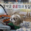 능금이 식당