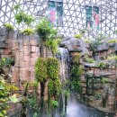 거제식물원 이미지