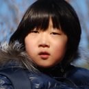 곡선초 이미지