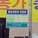 통일애견 이미지