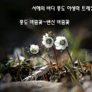 동작역 1번출구 앞 이미지