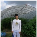 동연농장 이미지