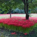 세레노펜션 이미지