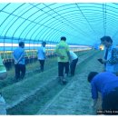 임마누엘팜 이미지