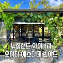 성안고 후문 교통섬 | 아이랑 함께 즐기는 뉴질랜드 와이너리 투어 Omata Estate Vineyard
