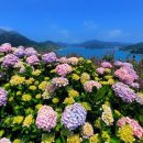 고흥숲속의바다 이미지