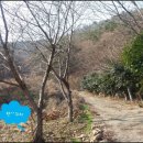 산천공인중개사사무소 이미지