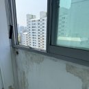 에스엠 | 천안 쌍용동 한라동백아파트 베란다 도장｜들뜸·곰팡이 보수 시공 후기｜천안에스엠페인트