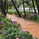 화명주유소 이미지