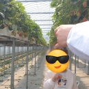 구교농장 이미지