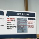 칠보오토바이 | 울릉썬플라워크루즈 3등석 + 차량 선적 가격 및 후기