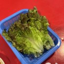 성원농장 | 김포 :: 숯불에 구워주는 1kg 생삼겹살 ‘성원농장’ 내돈내산 존맛탱후기