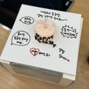 (주)새해오름참존점 | 26.01 Ι 출근하다 또 실신,,내 생일 🤍, 겨울 제주도, 한우 오마카세, 제주 몽탄, 해비치호텔, 동백...
