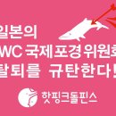 울산MBC 라디오 '포커스 오늘'에 출연해 일본 상업포경을 비판하고 대안 마련을 촉구했습니다 이미지