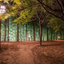 둔산 선사유적지 이미지