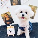 여기오개 이미지