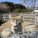 김영규농장 이미지