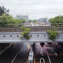 송원동로 이미지