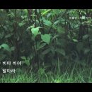 비야비야