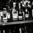 국선행정사사무소 이미지