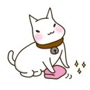 이레외과동물병원 네이버블로그